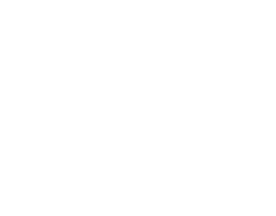 ensign logo transparent white